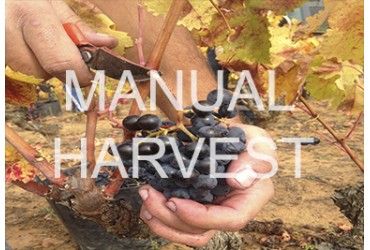 manual