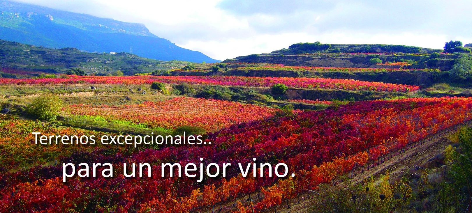 Campos